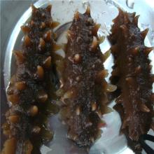 Fresh frozen trepang from China