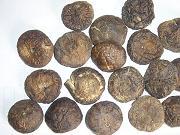 Dehydrated Whole Shiitake