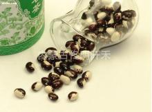 Panda  bean