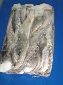 Frozen  Giant   Squid   tentacles /Dosidicus Gigas