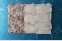 Frozen Squid TT (tube and tentacle)