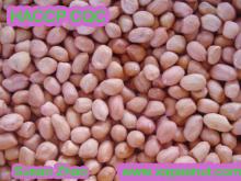 Chinese peanut kernels round type