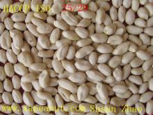  2013  blanched  peanut   kernels  25/29