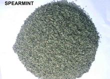  SPEARMINT 