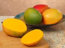 Fresh Mango ( Kent , Keitt Zebdia, Taymor, Mabroka, Fons, Hindi, Aweas )