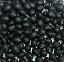 BLACK SOYBEAN