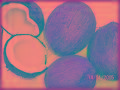 COCONUT (semi husked) & DESICCATED COCONUT