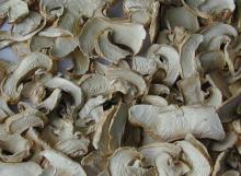 dehydrated sliced mushroom for sale