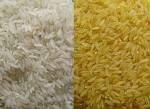  long ,  short   grain  bamatic  rice 