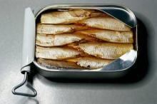 canned sardine fish for sale