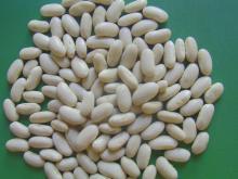 dehydrated white kidney beans