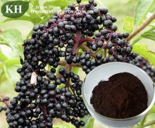 Elderberry Extract  Anthocyanidins  3% to 25% by UV, 4: 1 10: 1