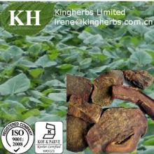 Rhubarb /Radixet Rhizoma Rhei Extract Emodin