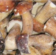frozen boletus edulis