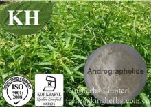 High Quality Andrographis Paniculata Extract Andrographolide 10%- 98% by HPLC