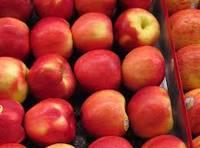 Fresh Grade A Fuji Apples