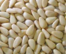 Organic Pine Nut Kernels