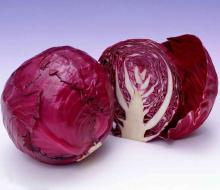 Purple  cabbage   pigment ,  cabbage  color,  cabbage   red   pigment 