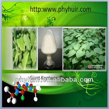 resveratrol Natural Resveratrol price 20%,Resveratrol price 98%,Resveratrol