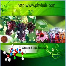lowest price Grape Seed P.E. directly from manufacturer