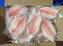 IVP IQF co-treated tilapia fillet