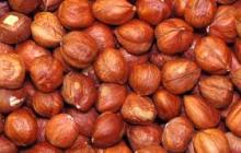  Hazelnut   kernels 