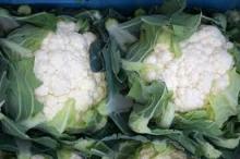 fresh cauliflower