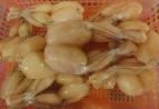 Frog Legs