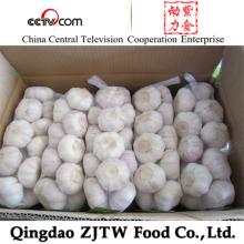 Jinxiang Normal White  Garlic   1Kg  mesh  bag 