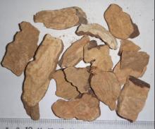 Fleeceflower root slice