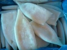 fresh clean frozen tubes, todarodes pacificus tubes, squid ring, whold wound squid, breaded squid