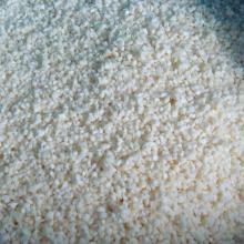 Supply New crop Frozen garlic dices