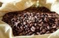  fresh   cocoa   beans 