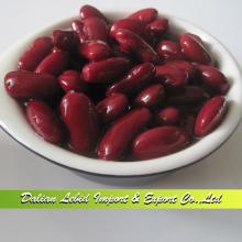 Good Quality Canned Dark Red Kidney Beans