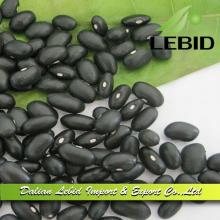 Black Chinese Kidney Beans 2014 Crop