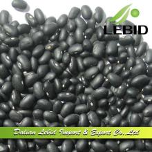 Wholesale Black Kidney Beans Good Sale,BKB 2014 Crop