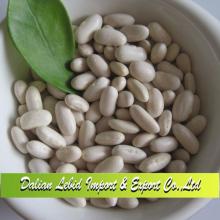High Quality Chinese White Beans New Crop, Baishake, Dry Beans 330-360grains/100g