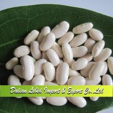 Mature White Kidney Beans,Dry Beans,Cooking White Kidney Beans 2014 Crop