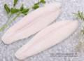 01 Frozen Pangasius Fillets