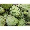 Fresh  Artichoke 