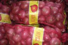  Fresh   Onion 