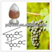 Grape Seed P.E. Proanthocyanidin 95%