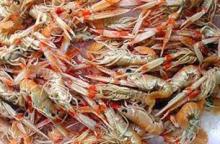 FROZEN SCAMPI