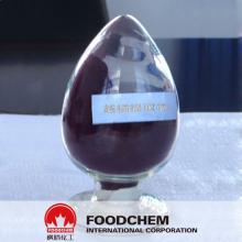 Bilberry Extract - Anthocyanins