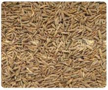 cumin seeds