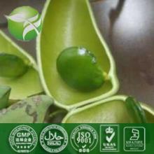 Griffonia Seed Extract