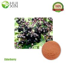  Elderberry   Extract 