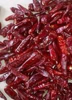  Whole   Chilli 