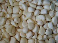  IQF   Garlic   Clove s