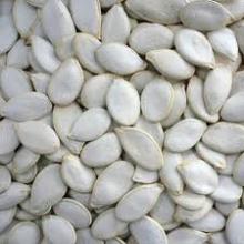  Snow   White  Pumpkin  Seed s